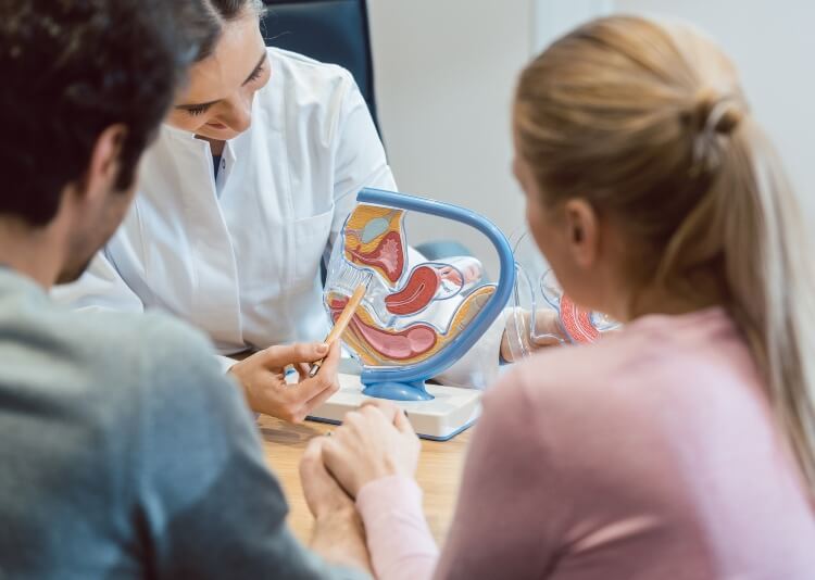Tubal Fertility Surgery Services in New York